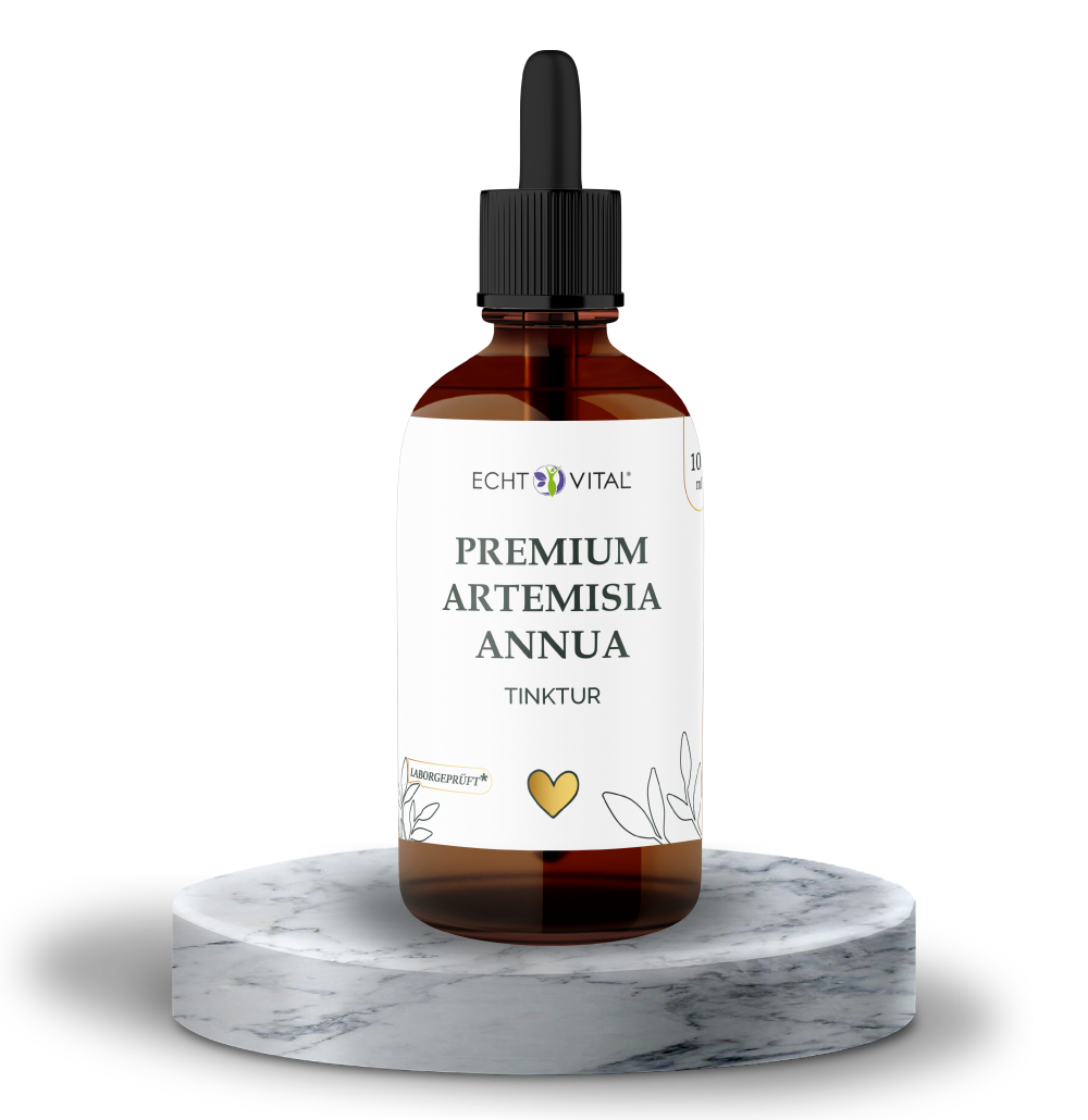 Premium Artemisia annua Tinktur - ECHT VITAL Premium Qualität